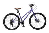 TT268 фиолетовый