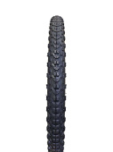 TT29220