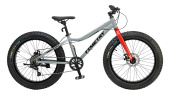 Велосипед подростковый TIMETRY TT215 20" (рама 12. Серый)