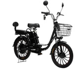 Электровелосипед TIMETRY D203 20" (рама 16, Черный)