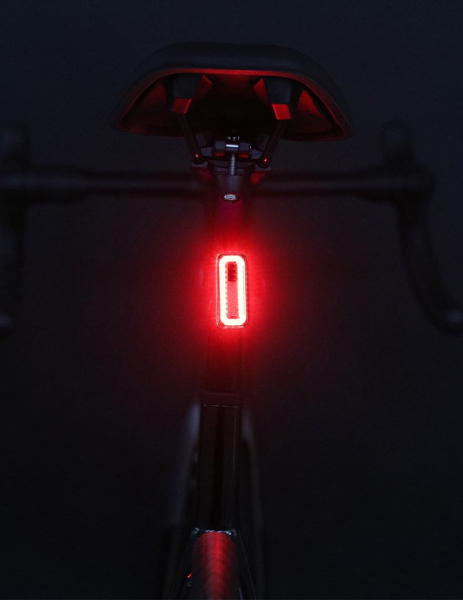 LepNano30 3 LepNano30 3