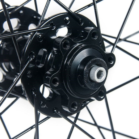 RWS26b-RD 1