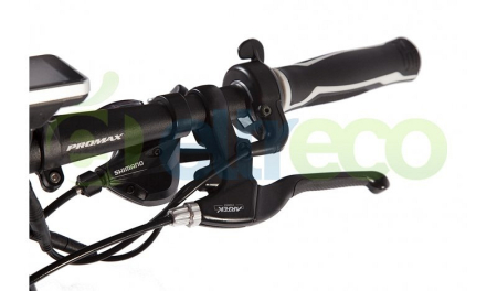 LEISGER MD5 BASIC 2
