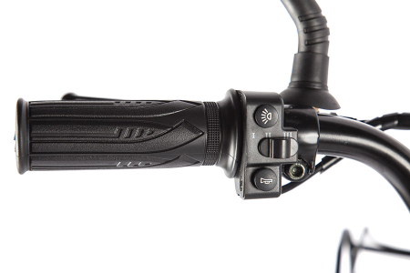 GREEN CITY e-ALFA Fat 18