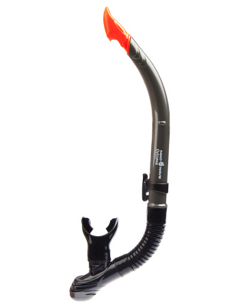 M062806 0 17W OCTOPUS G